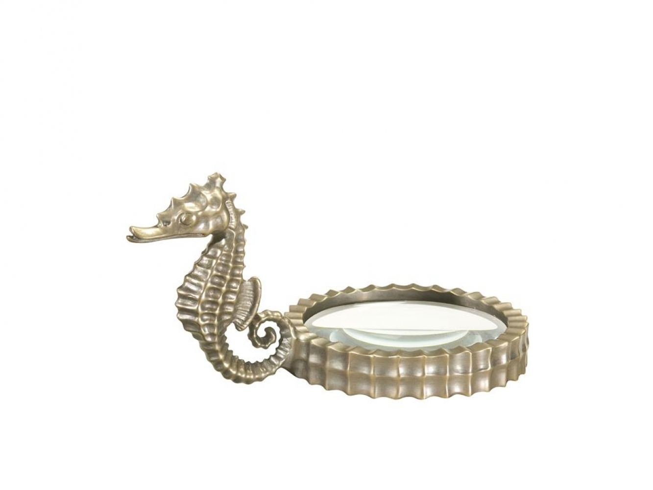 Seahorse Magnifying Glass